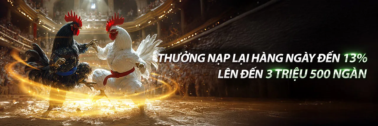 Đá gà trực tuyến sôi động tại kingbet86 win