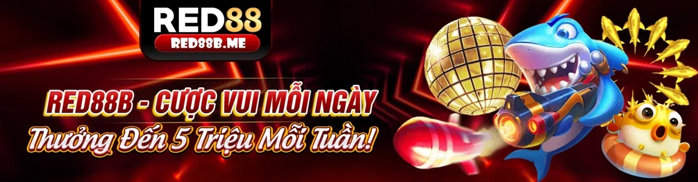 Người chơi đang ăn mừng chiến thắng trong cá cược thể thao Kingbet86 Win