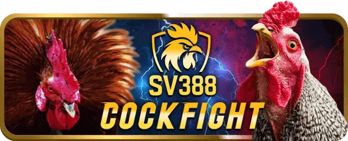 Các môn thể thao đa dạng tại kingbet86 win